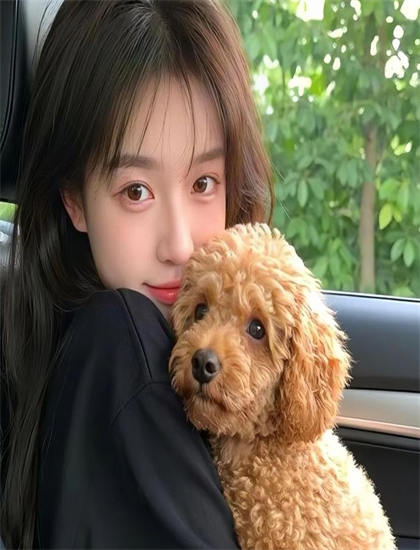 网络独播：《追踪北方戈达尔》隐藏彩蛋发现指南：细节与彩蛋寻找攻略